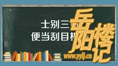 中考语文复习专项练习卷（29）及参考答案