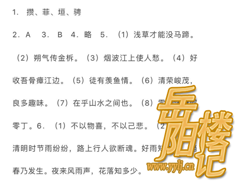 中考语文复习专项练习卷（2）及参考答案