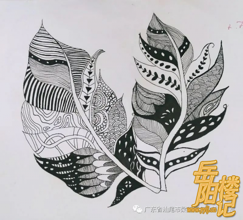 《一片叶子（线描画）》教学案例