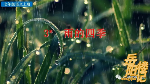 七年级上册语文第3课《雨的四季》同步练习及参考答案