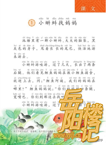 课文插图分析——《小蝌蚪找妈妈》