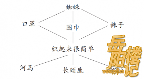 《蜘蛛开店》教学实录