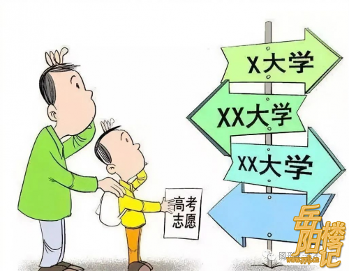 录取线是什么？投档线是什么？